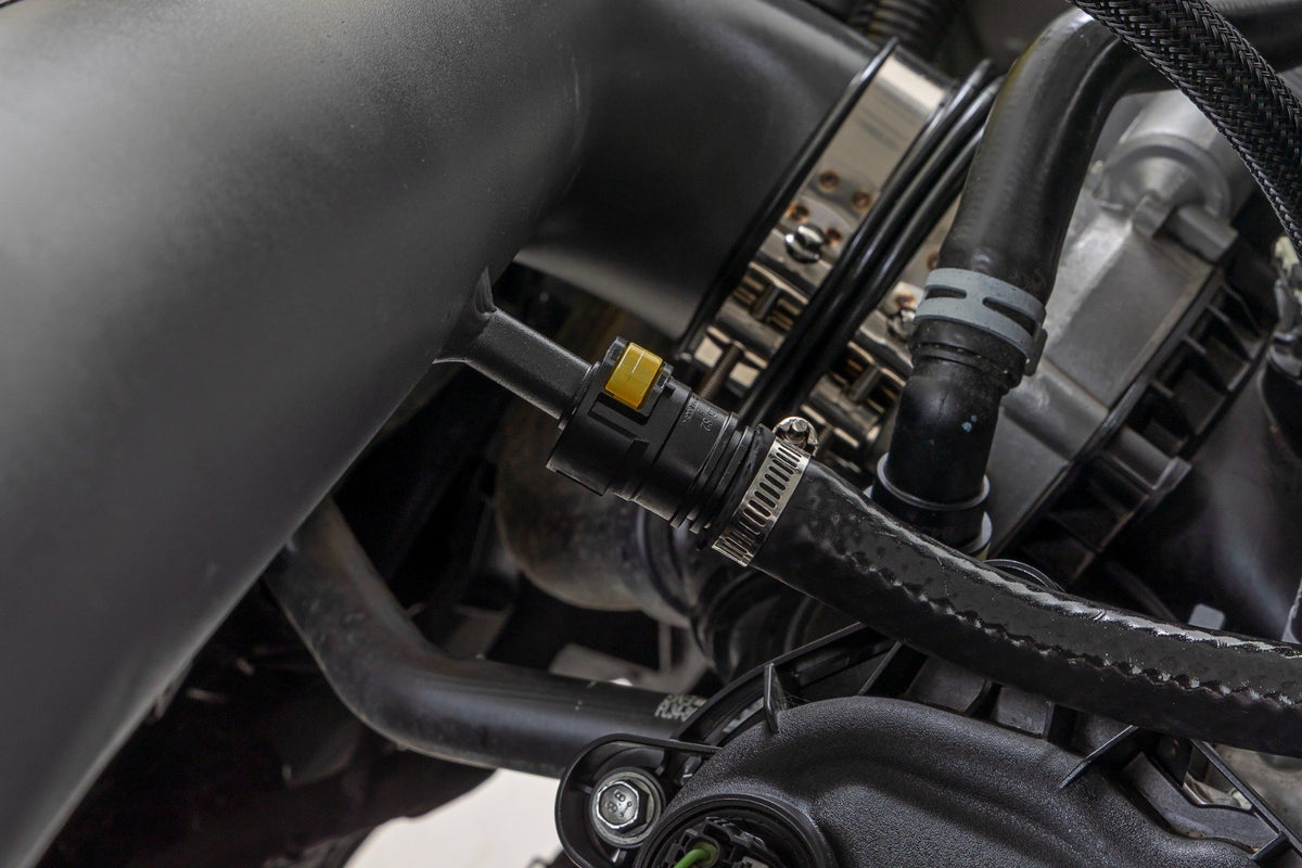 Cold Air Intake Kit | 5.0L | Ford F-150 2WD/4WD (2021-2026)