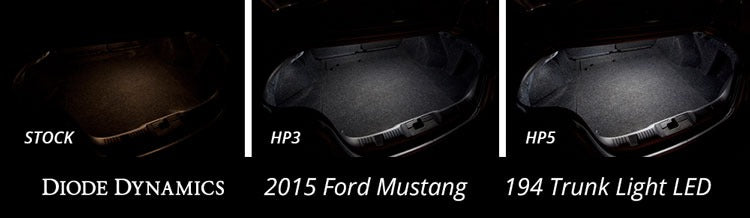 Diode Dynamics - FlexLight LED Strip Warm White