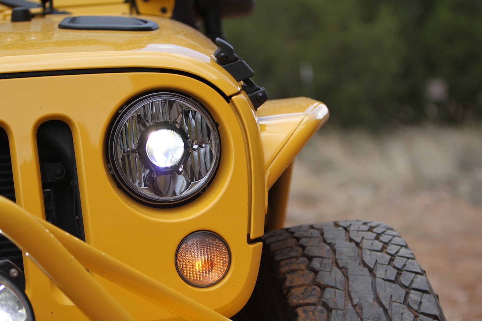 42341_Headlights_9.jpg