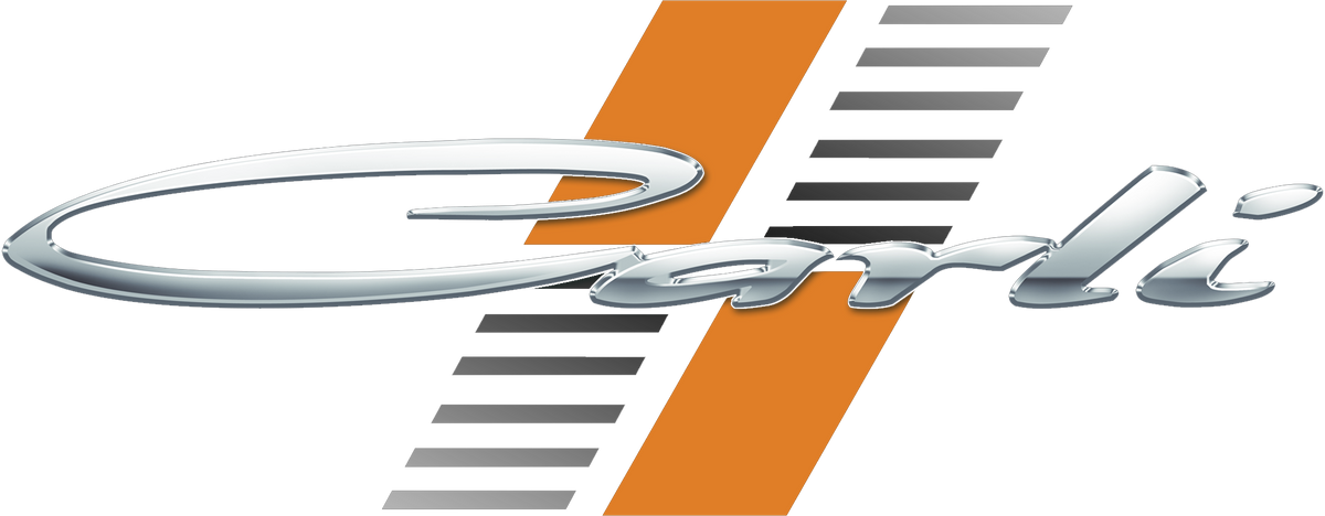 OFFICIAL CARLI LOGO.png